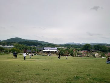 いばらきフラワーパークに投稿された画像（2025/5/18）