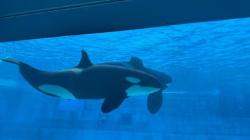 名古屋港水族館に投稿された画像（2025/5/18）