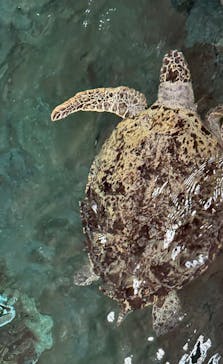 名古屋港水族館に投稿された画像（2025/5/18）