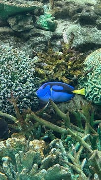 名古屋港水族館に投稿された画像（2025/5/18）
