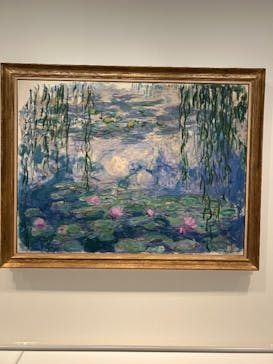 モネ　睡蓮のときに投稿された画像（2025/5/18）