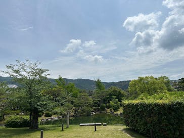 モネ　睡蓮のときに投稿された画像（2025/5/18）