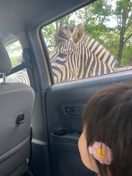 東北サファリパークに投稿された画像（2025/5/18）