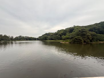 三溪園に投稿された画像（2025/5/18）