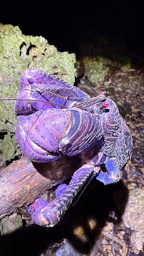 宮古島マリンショップSmileyに投稿された画像（2025/5/18）