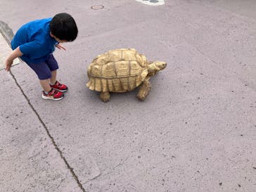 横浜・八景島シーパラダイス　プレジャーランドに投稿された画像（2025/5/18）