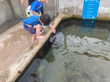 横浜・八景島シーパラダイス　プレジャーランドに投稿された画像（2025/5/18）