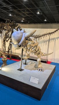 福井県立恐竜博物館に投稿された画像（2025/5/18）