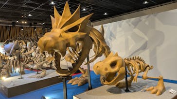 福井県立恐竜博物館に投稿された画像（2025/5/18）