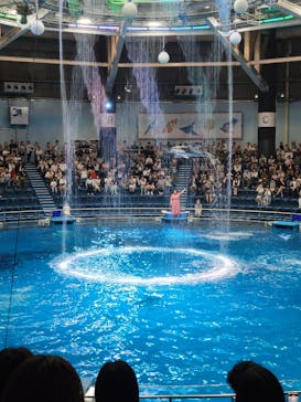 マクセル アクアパーク品川に投稿された画像（2025/5/18）