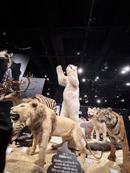  うんち展　-No UNCHI, No LIFE-に投稿された画像（2025/5/18）