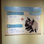 福井県立恐竜博物館に投稿された画像（2025/5/18）