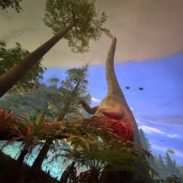 福井県立恐竜博物館に投稿された画像（2025/5/18）