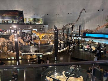 福井県立恐竜博物館に投稿された画像（2025/5/18）