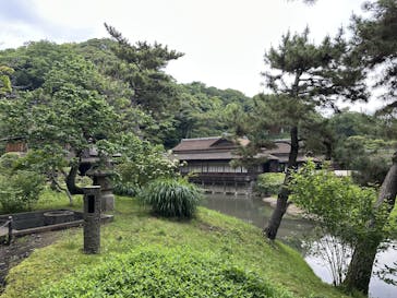 三溪園に投稿された画像（2025/5/18）