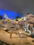 福井県立恐竜博物館に投稿された画像（2025/5/18）