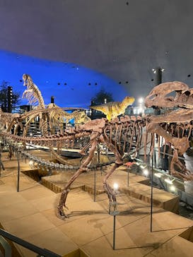 福井県立恐竜博物館に投稿された画像（2025/5/18）