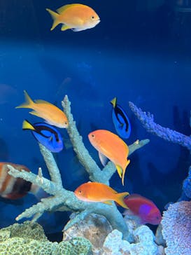 サンシャイン水族館に投稿された画像（2025/5/18）