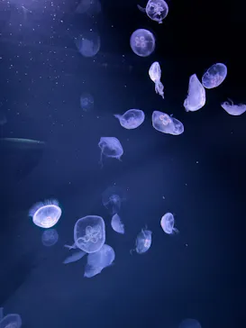 サンシャイン水族館に投稿された画像（2025/5/18）