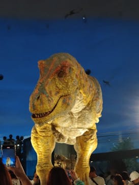 福井県立恐竜博物館に投稿された画像（2025/5/18）