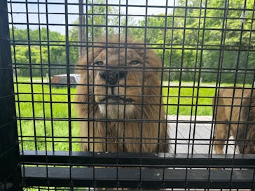 那須サファリパークに投稿された画像（2025/5/18）