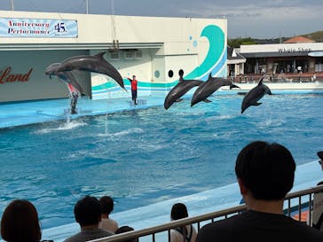 南知多ビーチランド＆南知多おもちゃ王国に投稿された画像（2025/5/18）