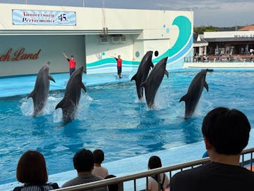 南知多ビーチランド＆南知多おもちゃ王国に投稿された画像（2025/5/18）