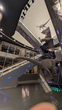 福井県立恐竜博物館に投稿された画像（2025/5/18）