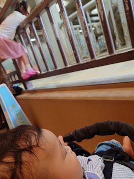 名古屋市東山動植物園に投稿された画像（2025/5/18）