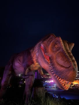 伊豆高原グランイルミに投稿された画像（2025/5/18）