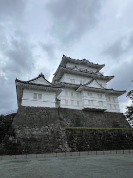 小田原城に投稿された画像（2025/5/18）