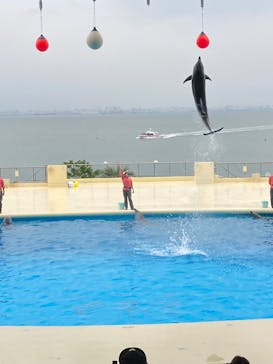 マリンワールド海の中道に投稿された画像（2025/5/18）