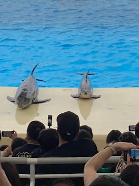 マリンワールド海の中道に投稿された画像（2025/5/18）