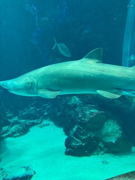 マリンワールド海の中道に投稿された画像（2025/5/18）