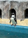 恩賜上野動物園に投稿された画像（2025/5/18）