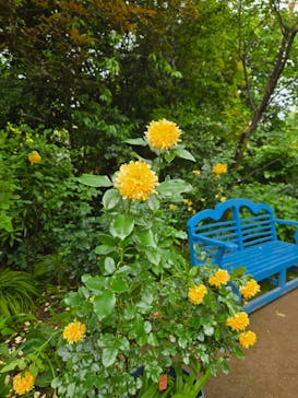 横浜イングリッシュガーデンに投稿された画像（2025/5/18）