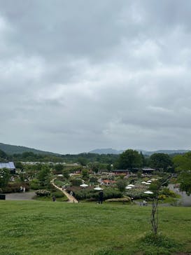 いばらきフラワーパークに投稿された画像（2025/5/18）