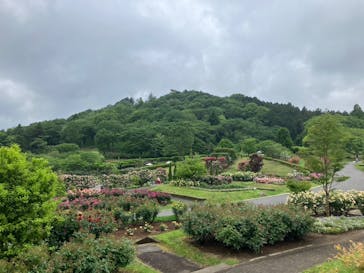 いばらきフラワーパークに投稿された画像（2025/5/18）