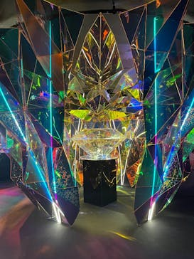 NARA KINGYO MUSEUMに投稿された画像（2025/5/18）