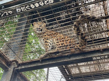 群馬サファリパークに投稿された画像（2025/5/18）