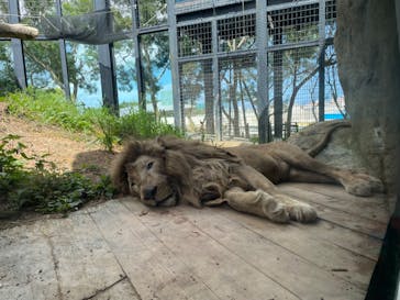 沖縄こどもの国に投稿された画像（2025/5/18）