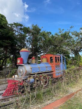 沖縄こどもの国に投稿された画像（2025/5/18）