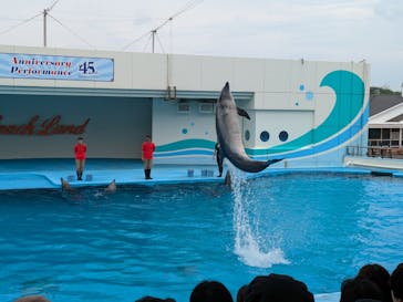 南知多ビーチランド＆南知多おもちゃ王国に投稿された画像（2025/5/18）