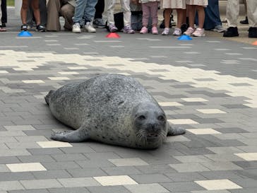 マリンワールド海の中道に投稿された画像（2025/5/18）