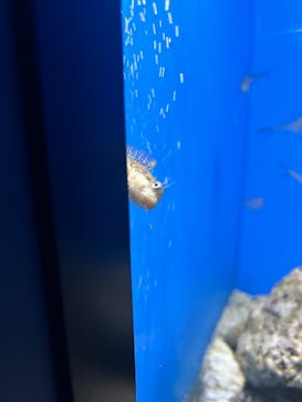 マリンワールド海の中道に投稿された画像（2025/5/19）