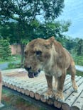 多摩動物公園に投稿された画像（2025/5/19）