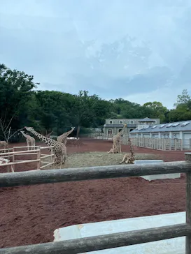 多摩動物公園に投稿された画像（2025/5/19）
