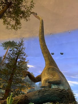 福井県立恐竜博物館に投稿された画像（2025/5/19）