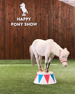 ノーザンホースパークに投稿された画像（2025/5/19）