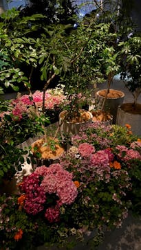 サンシャイン60展望台に投稿された画像（2025/5/19）